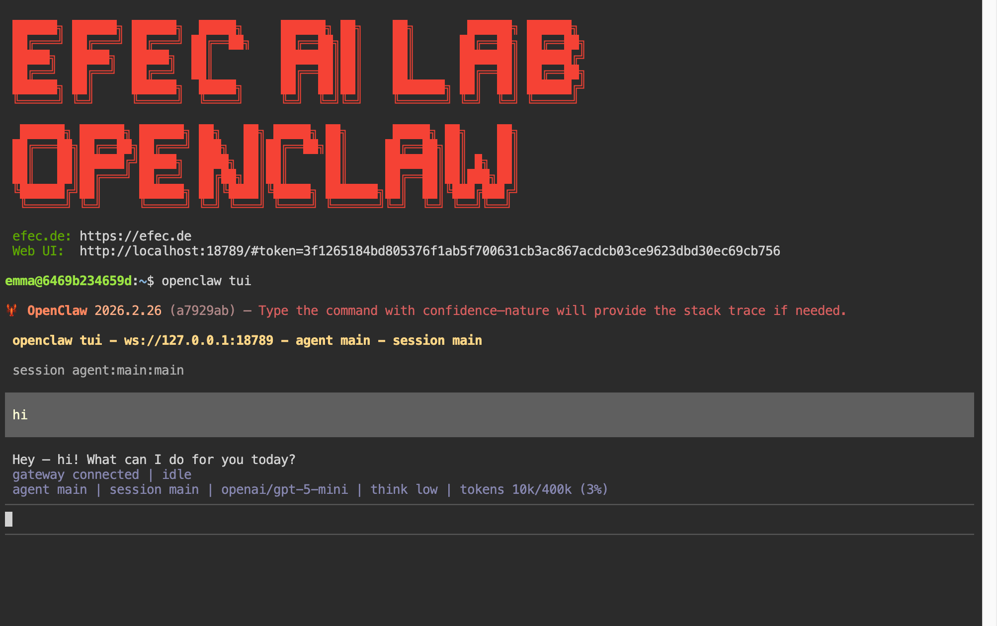 OpenClaw Terminal-Oberfläche (TUI) im EFEC AI Lab